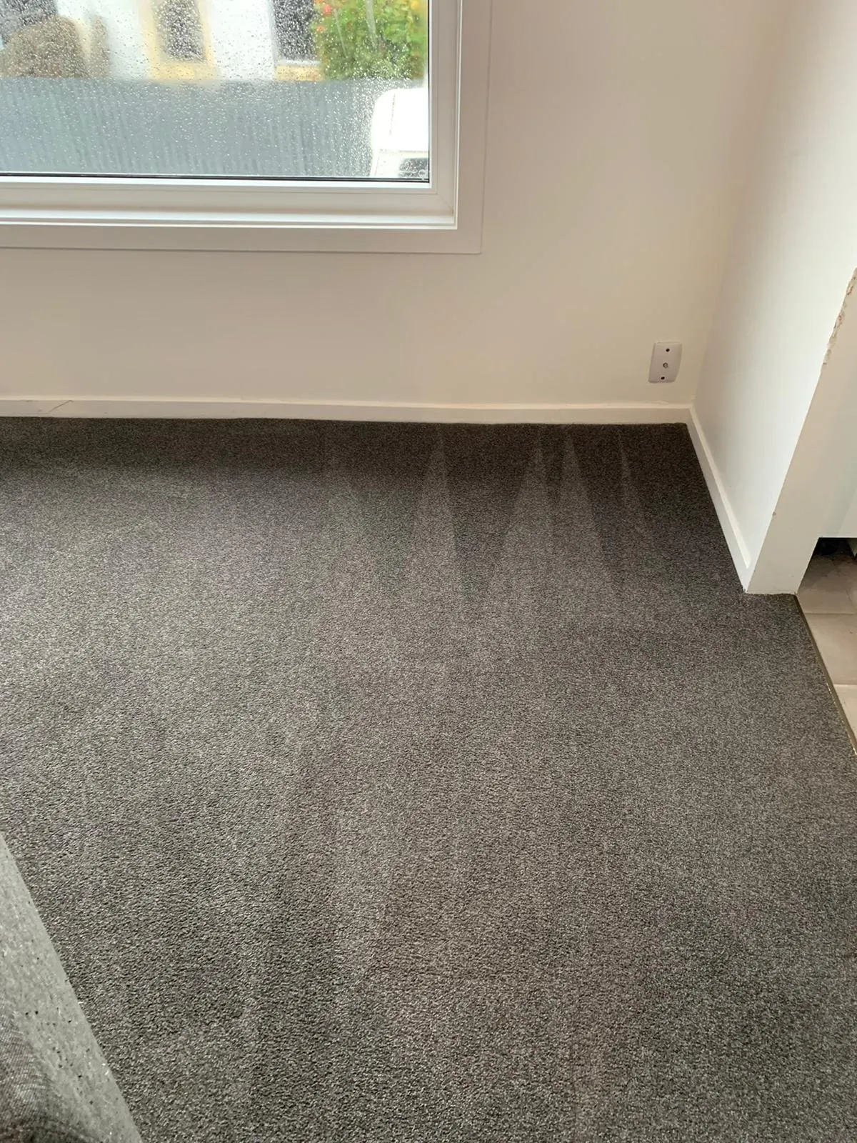 Fresh clean carpet after professional carpet cleaning in Christchurch