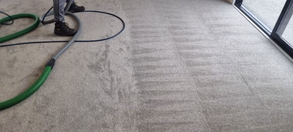 Commercial Carpet Cleaning Christchurch Guide