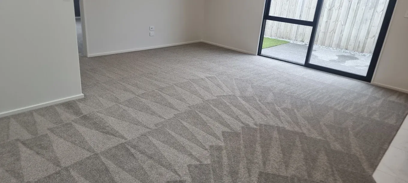 Freshly cleaned carpet in a Christchurch home