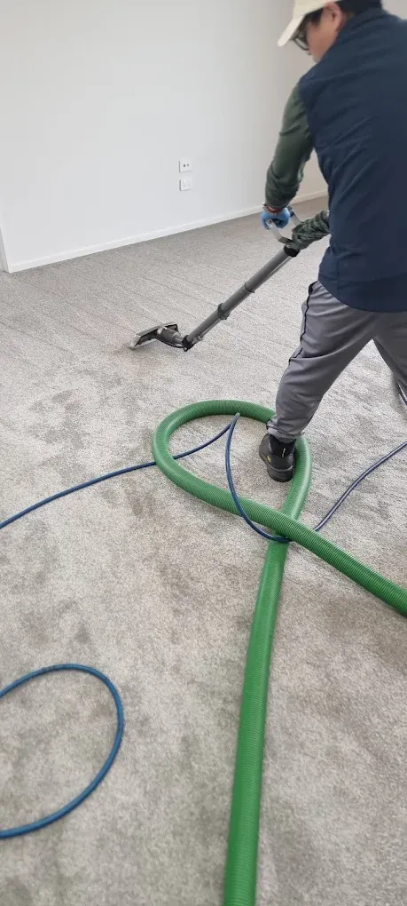 Hyper Carpet Cleaning technician cleaning carpet in a Christchurch home