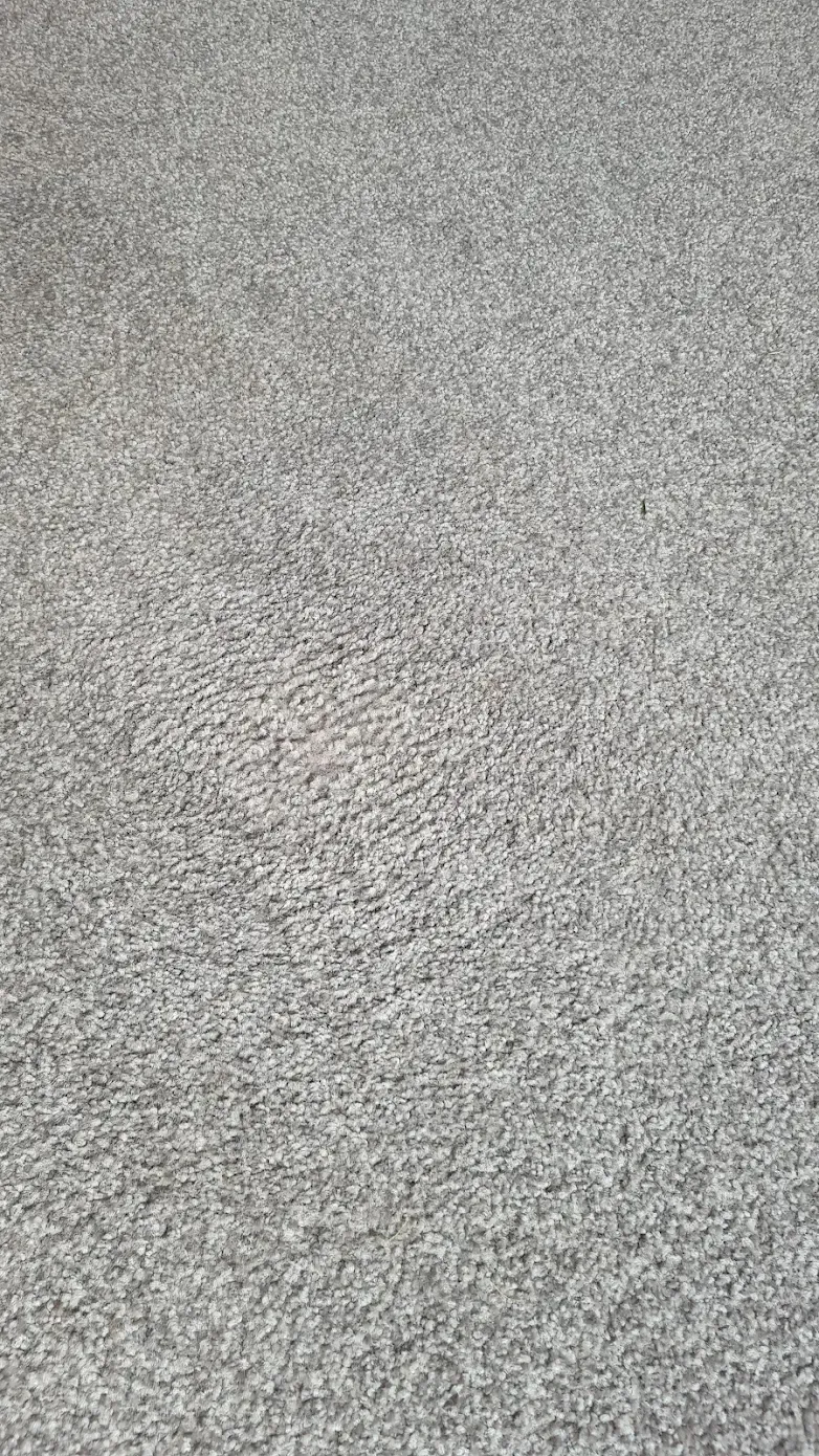 Nail polish stain removed after professional carpet stain removal in Christchurch