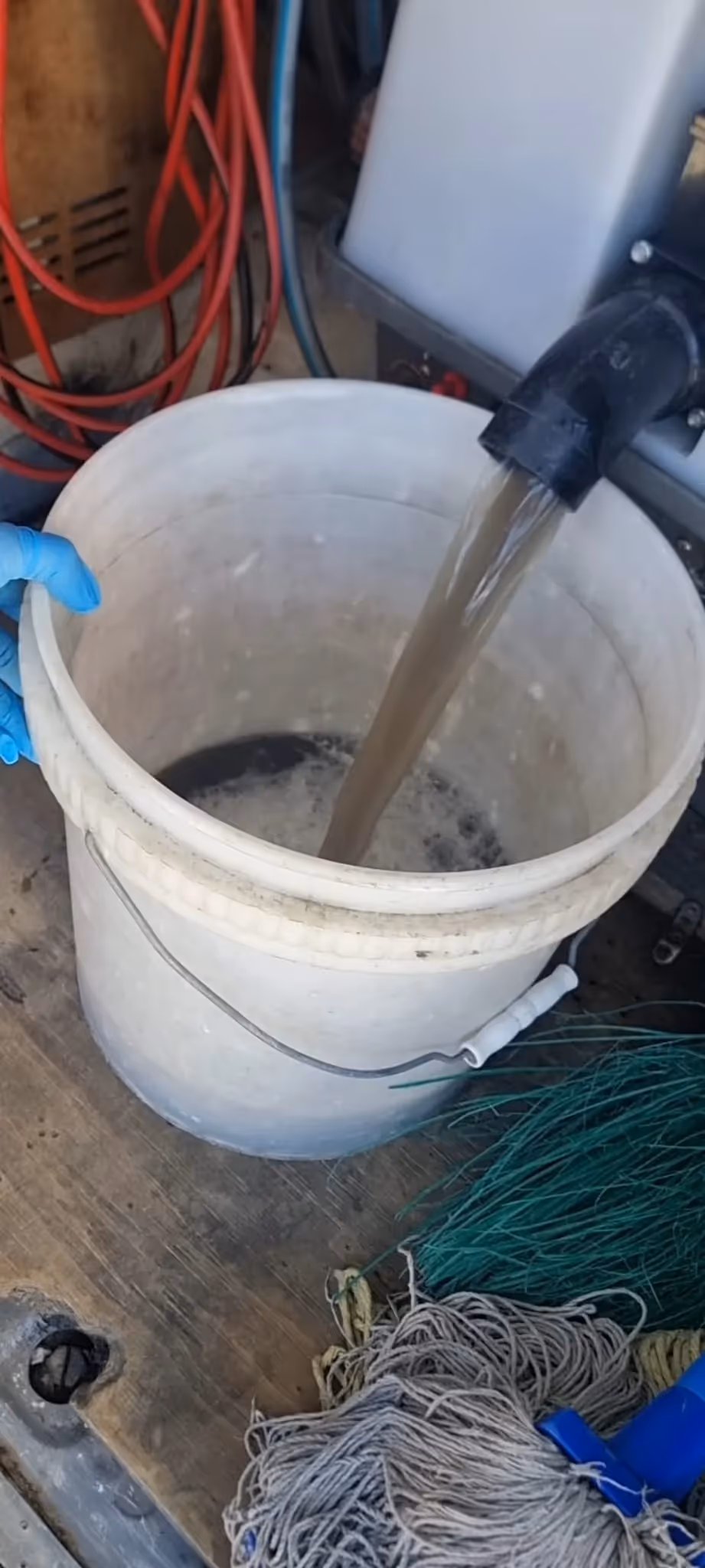 Dirty water being extracted from carpet during professional cleaning