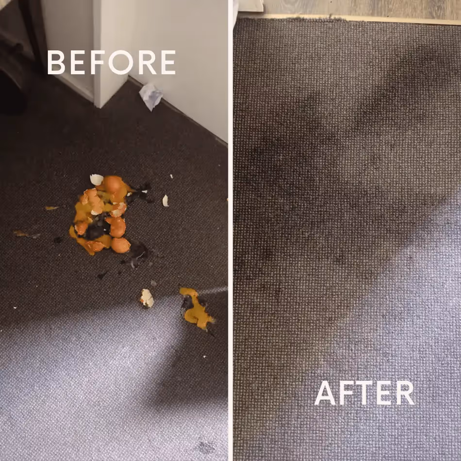 White Vinegar For Cleaning Carpets