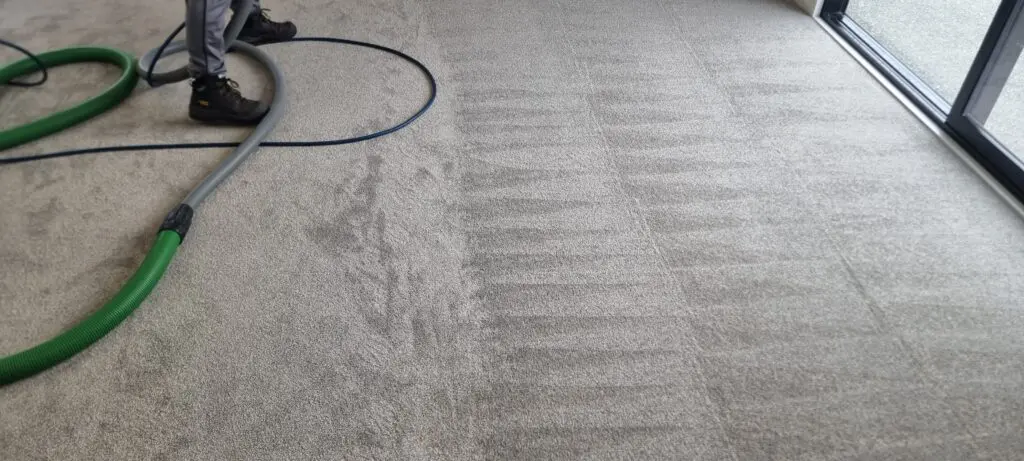 commercial-carpet-cleaning-christchurch-guide