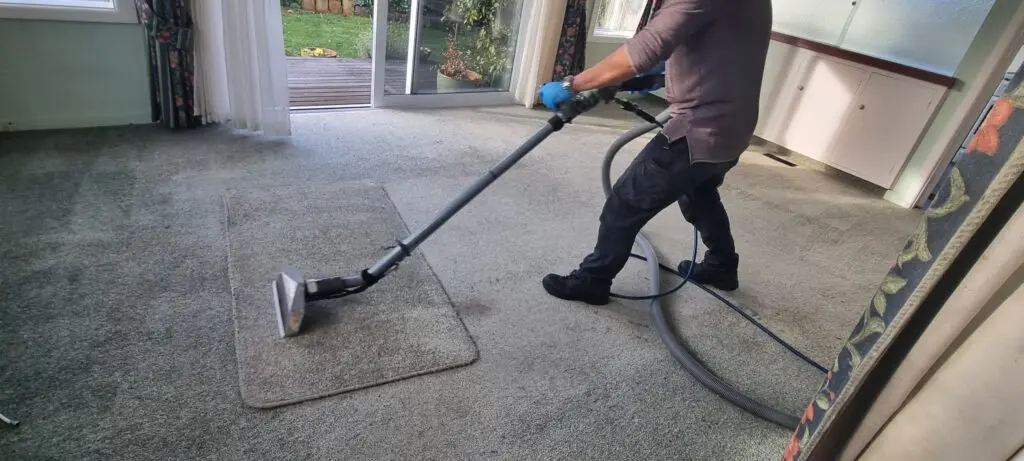 Person cleaning carpet with vacuum