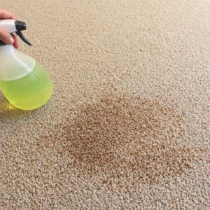 Using enzyme cleaner on Pet urine