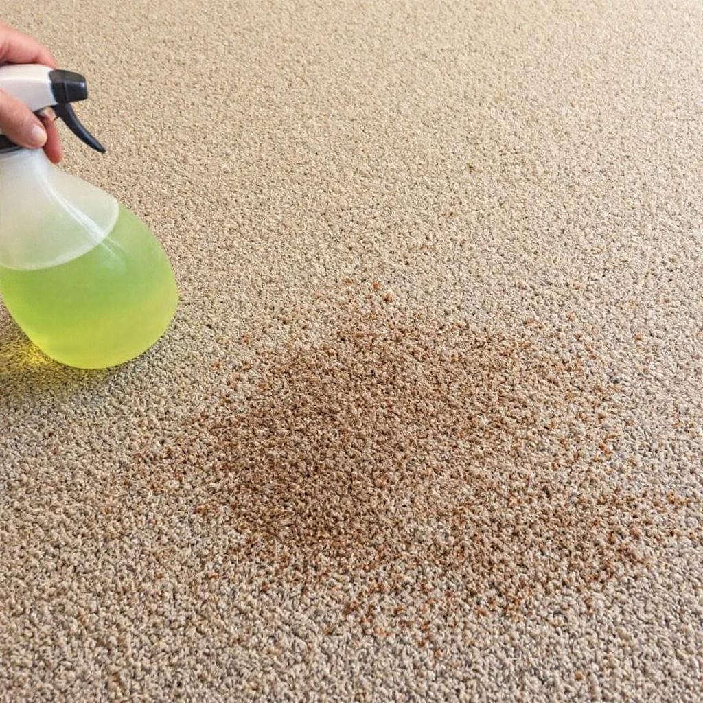 Using enzyme cleaner on Pet urine